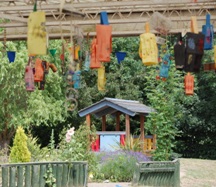 pic 4.jpg